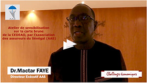 Atelier de sensibilisation sur la carte brune de la CEDEAO, par l'Association des assureurs du Sénégal (AAS)